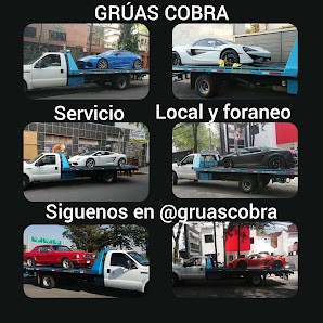 Gruas Cobra